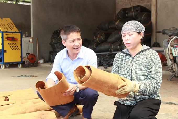 a-23-235433_303.jpg Sản phẩm quế đảm bảo chất lượng được Công ty Sơn Hà xuất khẩu tới các thị trường khó tính như Mỹ và các nước châu Âu. Ảnh: Thanh Tiến.