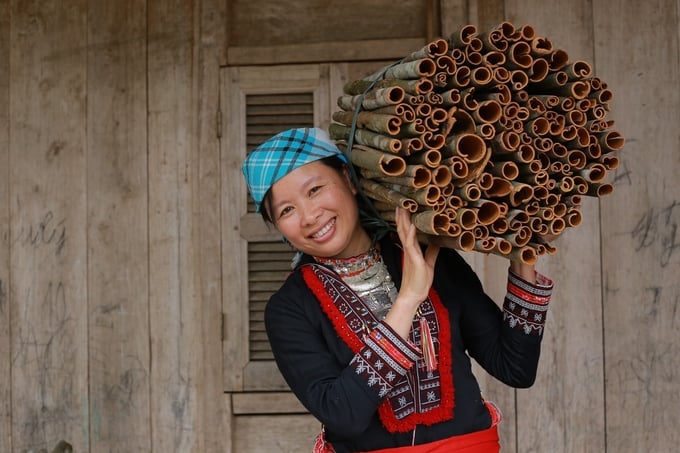 Nhờ có thu nhập cao hơn và sản phẩm được tiêu thụ thuận tiện hơn nên người dân tin tưởng gắn bó với doanh nghiệp sản xuất quế hữu cơ. Ảnh: Thanh Tiến.