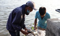 Cận cảnh bắt cá phóng sinh bán lại cho người đi thả ở sát sông Sài Gòn 