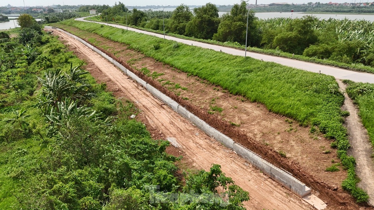 Hanoi spent nearly 400 billion VND to improve the Red River dyke through Phu Xuyen district, photo 10