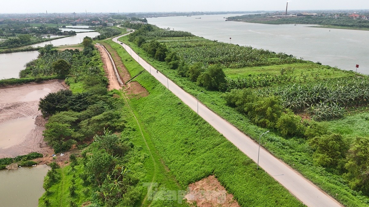 Hanoi spent nearly 400 billion VND to improve the Red River dyke through Phu Xuyen district, photo 11