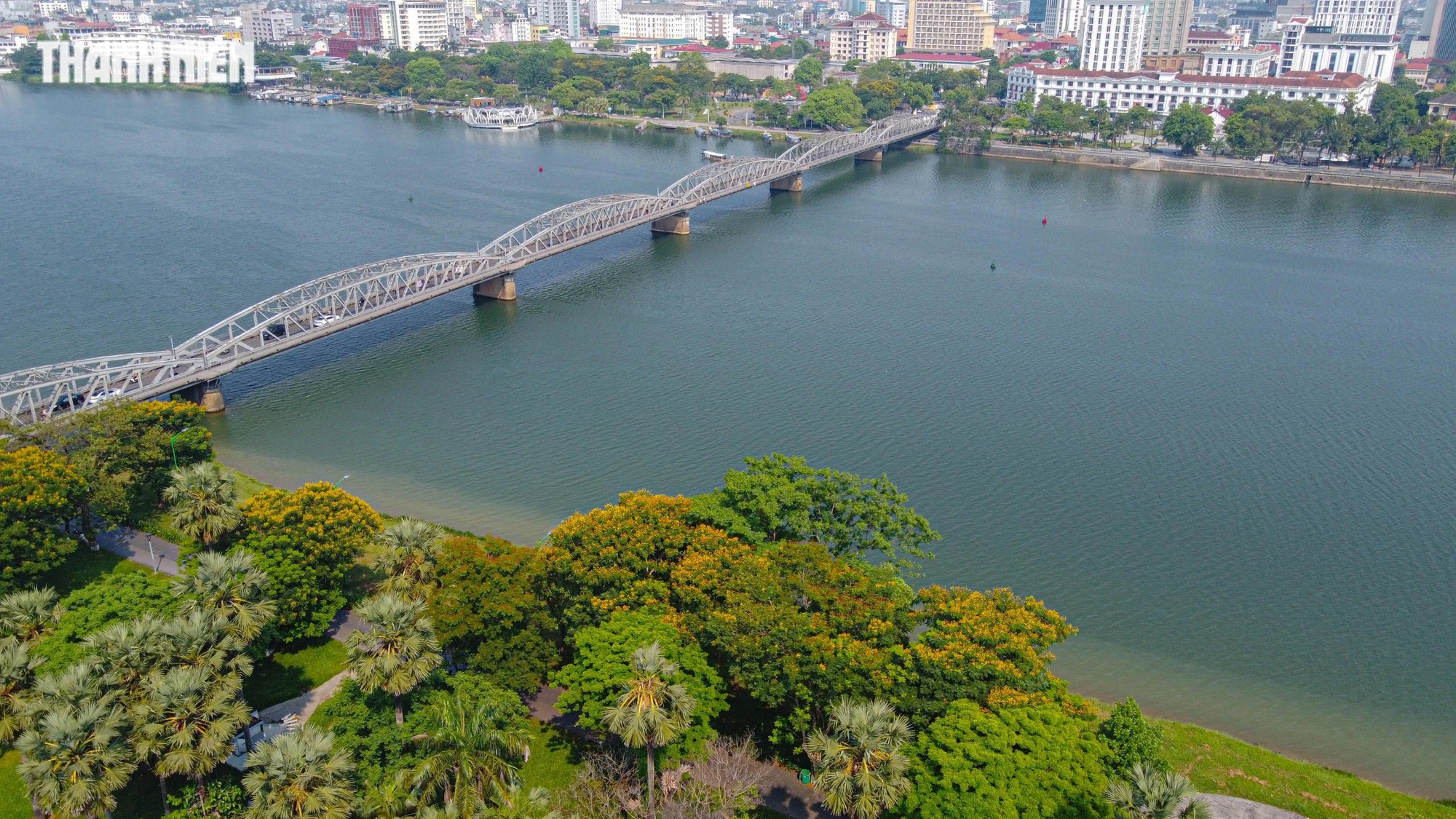 Cố đô Huế quyến rũ trong mùa hoa điệp vàng- Ảnh 7. Hoa điệp nở rộ bên bờ sông Hương, góp phần tô điểm cho bức tranh xứ Huế thơ mộng