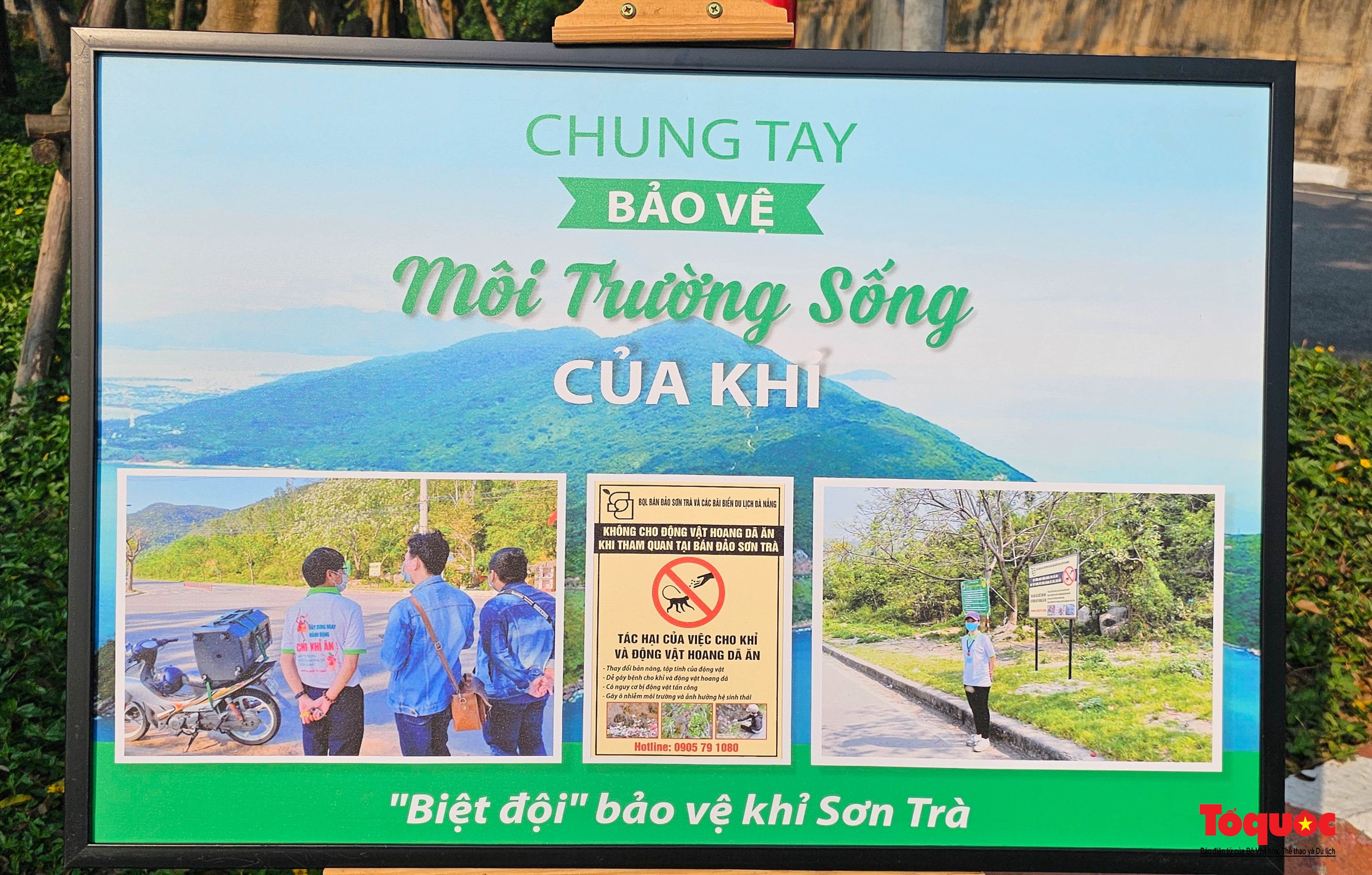 Hơn 700 người nhặt rác, kêu gọi cộng đồng chung tay xây dựng hình ảnh bán đảo Sơn Trà là “điểm đến du lịch Xanh” - Ảnh 14. Hơn 700 người nhặt rác, kêu gọi cộng đồng chung tay xây dựng hình ảnh bán đảo Sơn Trà là “điểm đến du lịch Xanh” - Ảnh 14.