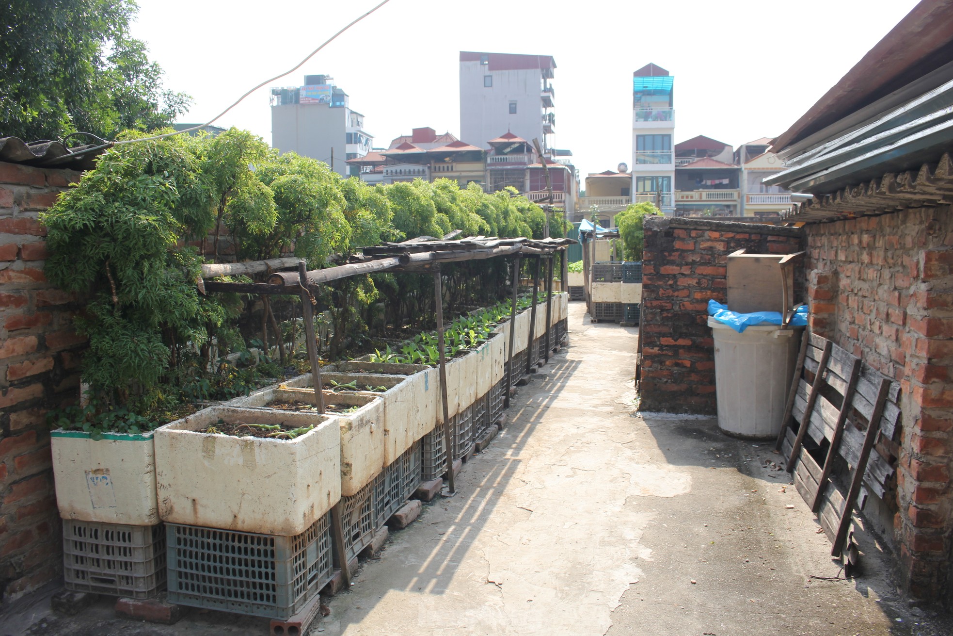 Bên trong khu tập thể 'chờ sập' giữa Thủ đô ảnh 23