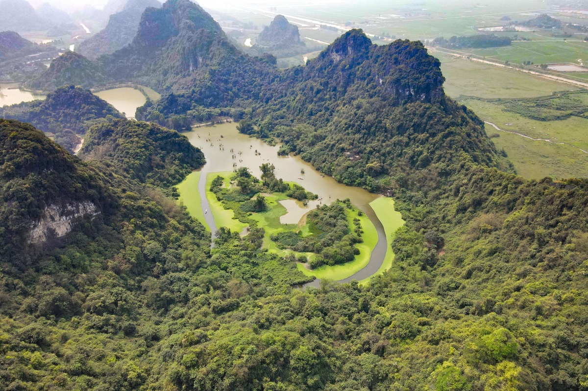 Chim hoang dã bay rợp trời trong khu du lịch- Ảnh 2. Chim hoang dã bay rợp trời trong khu du lịch- Ảnh 2.