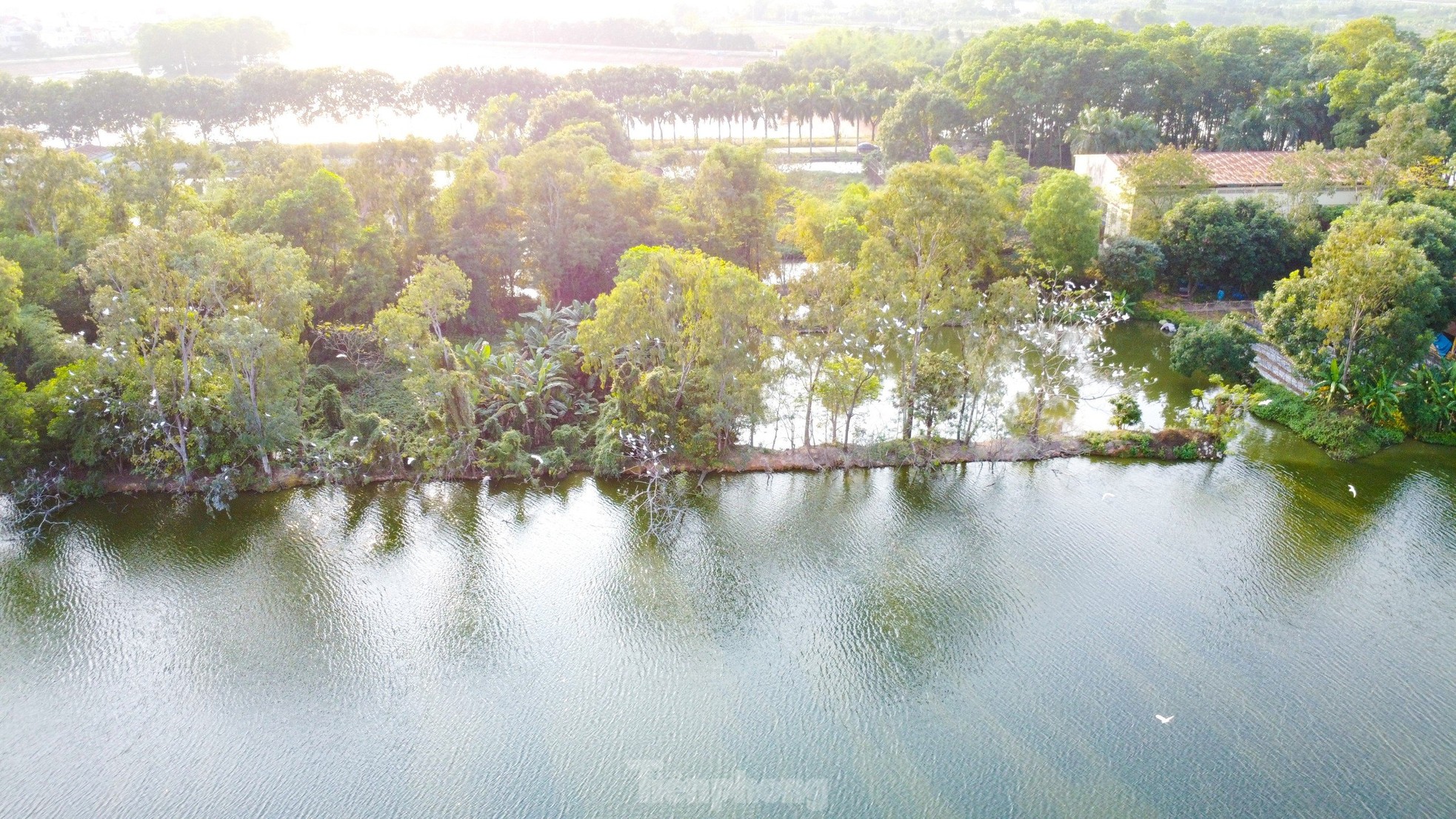 Khuôn viên độc đáo của Trường Đại học Nông - Lâm Bắc Giang ảnh 2