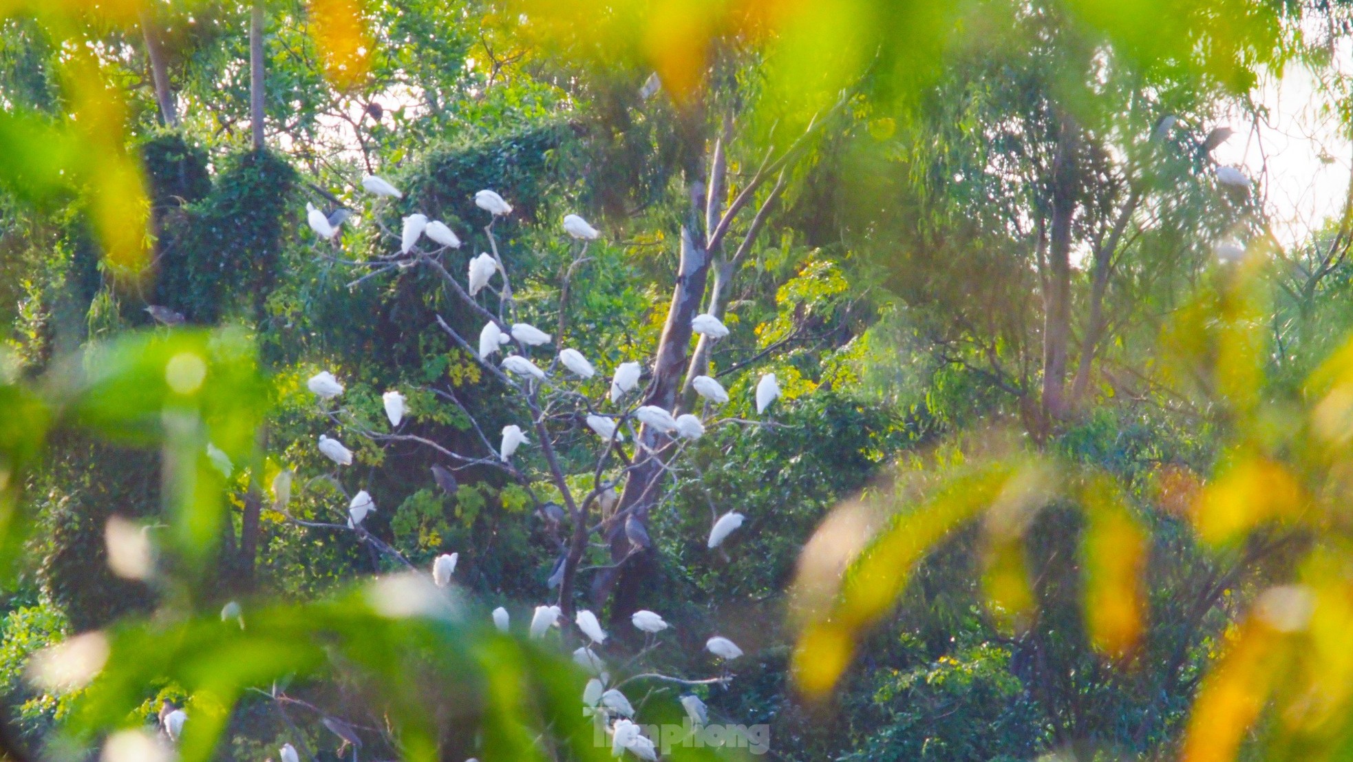 Unique campus of Bac Giang Agriculture and Forestry University photo 5