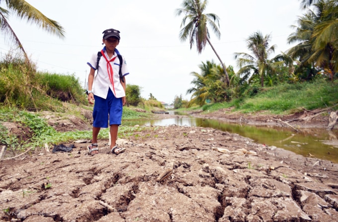 Khô hạn kéo dài khiến dòng kênh Rạch Ráng ở thị trấn Trần Văn Thời, Cà Mau, cạn trơ đáy, tháng 3/2024. Ảnh: Chúc Ly
