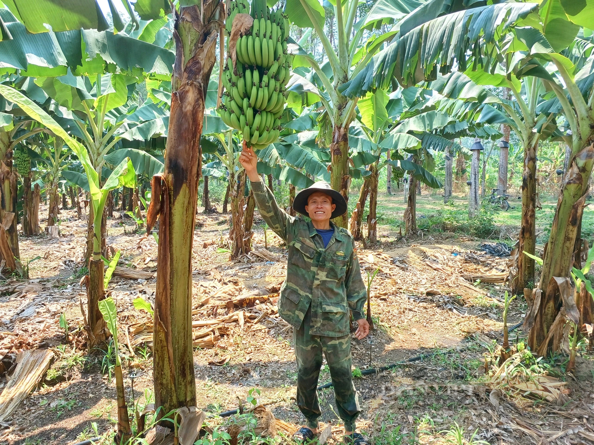 Mặc kệ xóm làng chê, anh nông dân ở Kon Tum quyết trồng cây cho Mặc kệ xóm làng chê, anh nông dân ở Kon Tum quyết trồng cây cho