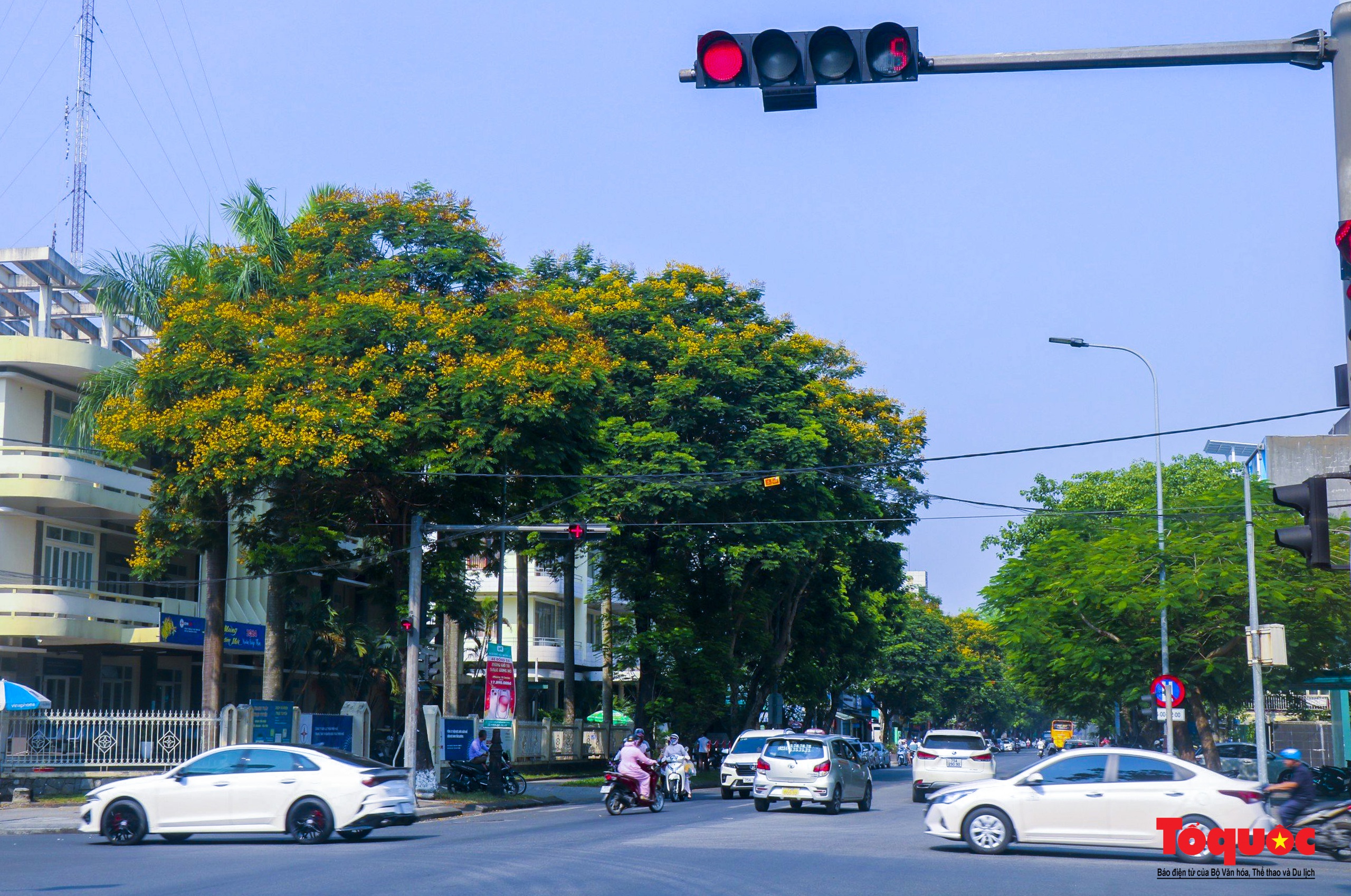 Mùa hoa điệp vàng tỏa sắc giữa lòng Cố đô Huế - Ảnh 2.