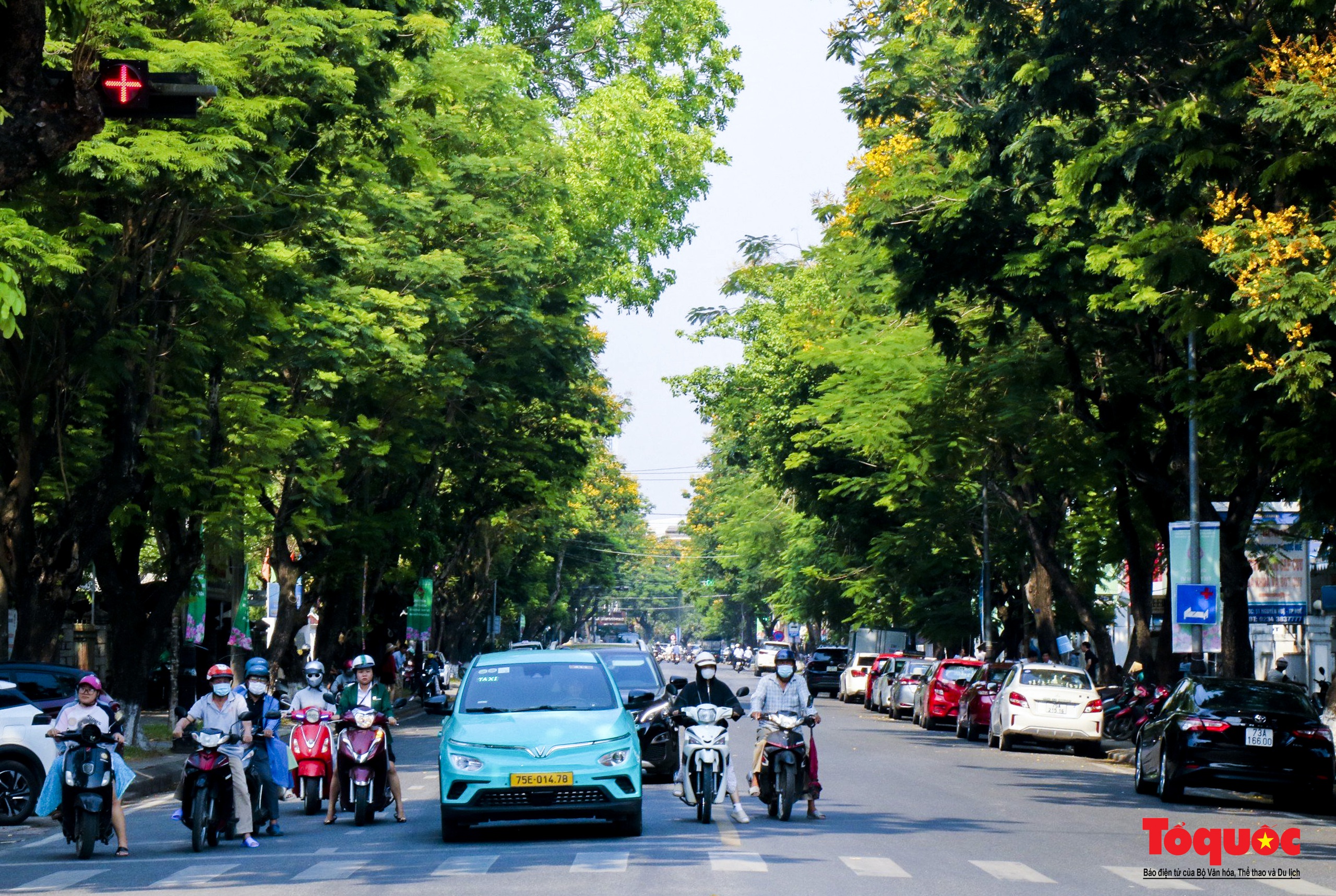 Mùa hoa điệp vàng tỏa sắc giữa lòng Cố đô Huế - Ảnh 10. Mùa hoa điệp vàng tỏa sắc giữa lòng Cố đô Huế - Ảnh 10.