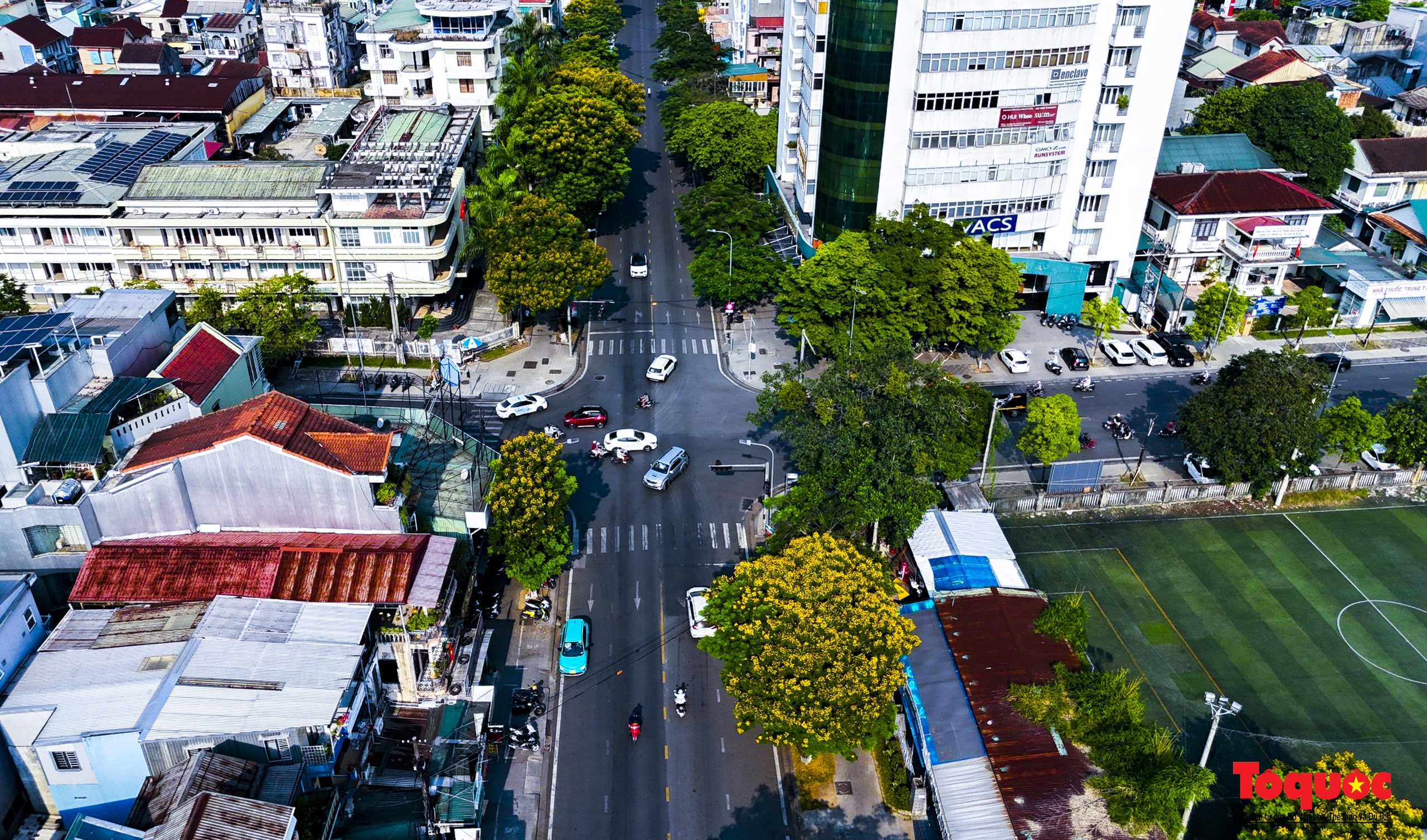 Mùa hoa điệp vàng tỏa sắc giữa lòng Cố đô Huế - Ảnh 15.