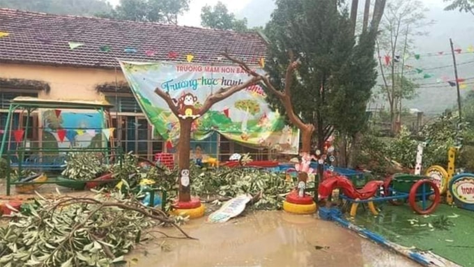 Câycoosi trong khuôn viên trường Mầm non ở xã Bắc Lý bị đổ sau giông lốc. Ảnh: Hùng Lê