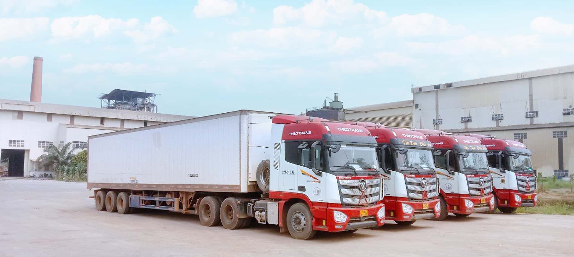 Từ nay đến cuối năm, THILOTRANS sẽ vận chuyển 30.000 tấn đường, 2.100 container trái cây tươi, 30.000 tấn tinh bột sắn phục vụ khách hàng Từ nay đến cuối năm, THILOTRANS sẽ vận chuyển 30.000 tấn đường, 2.100 container trái cây tươi, 30.000 tấn tinh bột sắn phục vụ khách hàng