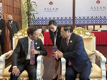 Đẩy mạnh hợp tác kinh tế, thương mại, giao lưu nhân dân giữa Việt Nam - Brunei