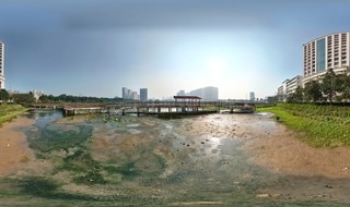 Primer plano del parque del lago abandonado desde hace 8 años en la capital