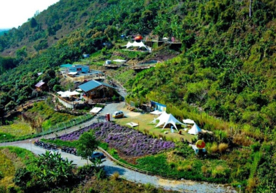 부동산 - 동나이(Dong Nai): 허가 없이 지어진 일련의 관광 숙박 시설(그림 2).