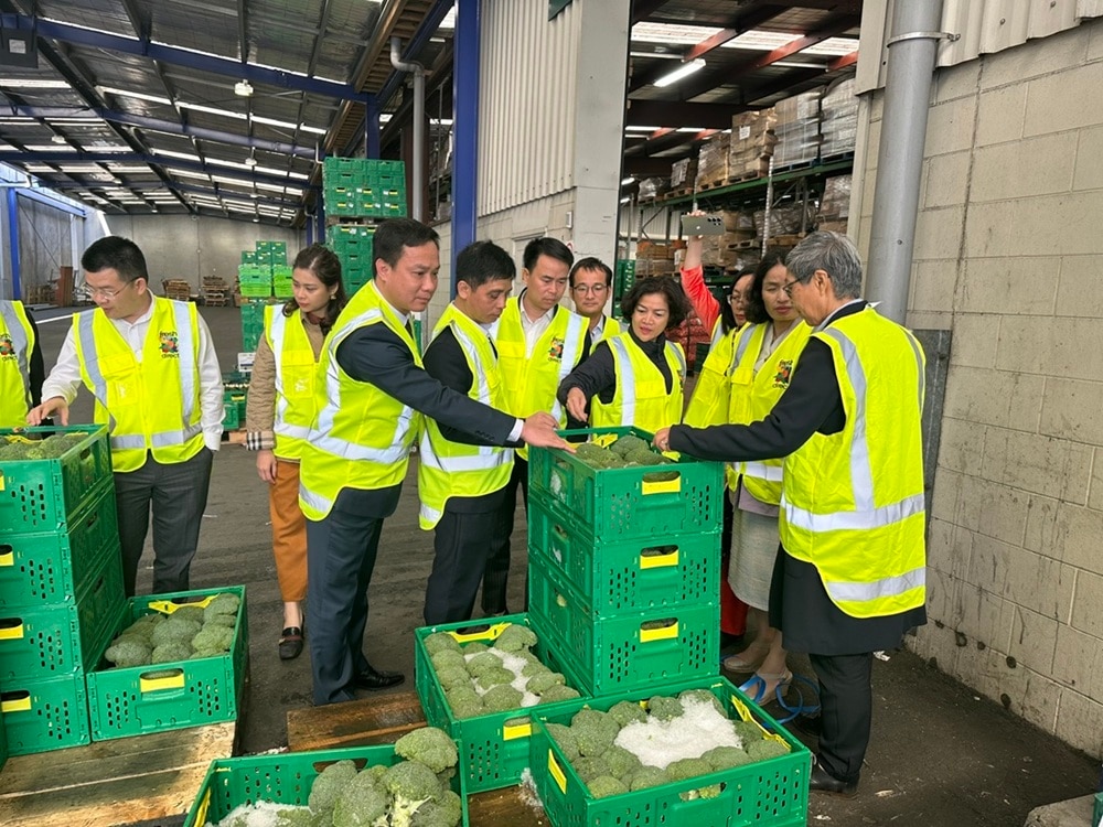 Đoàn công tác của tỉnh Hải Dương thăm mô hình bảo quản và xuất khẩu sản phẩm nông sản tại doanh nghiệp của New Zealand. Ảnh: Quang Hạnh