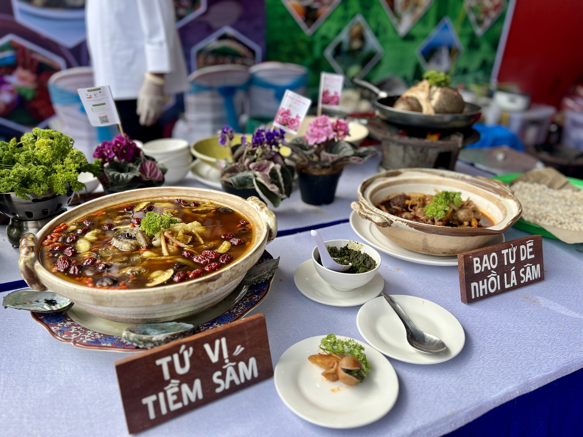 Xác lập kỷ lục Việt Nam về 120 món ăn được chế biến từ đẳng sâm ảnh 13