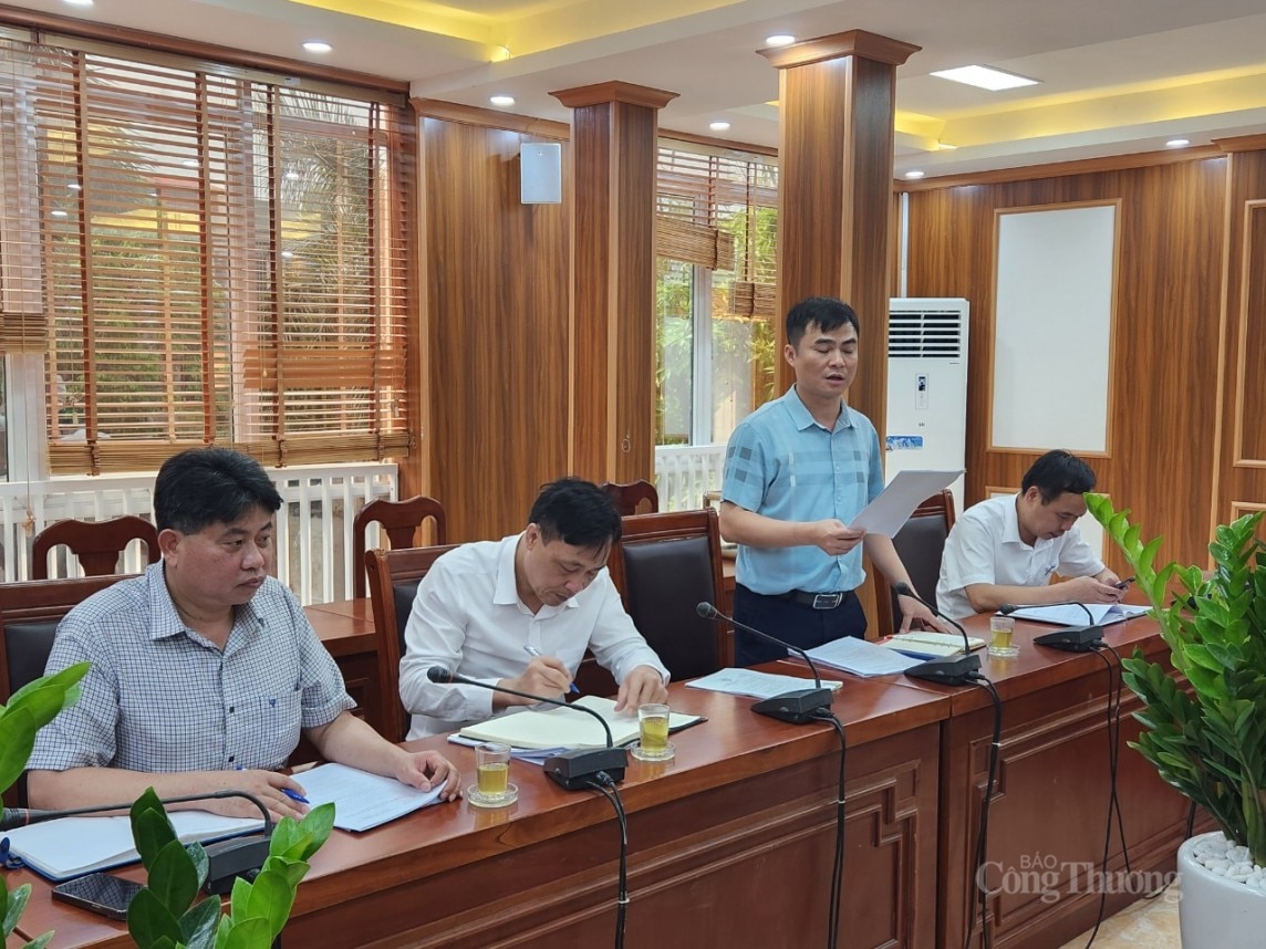 El Ministerio de Industria y Comercio inspecciona el cumplimiento del uso económico y eficiente de la energía en Vinh Phuc