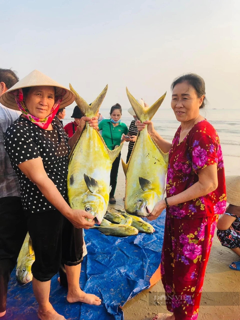Trúng đậm mẻ cá vàng dương quý nặng 1 tấn, một ngư dân Hà Tĩnh thu ngay 300 triệu đồng sau chuyến biển- Ảnh 2.