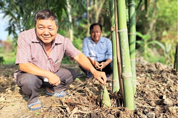 Planter des arbres