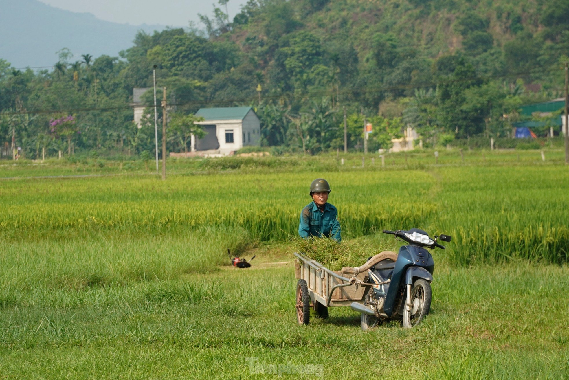 Nông dân vất vả mưu sinh giữa nắng nóng đỉnh điểm ảnh 2