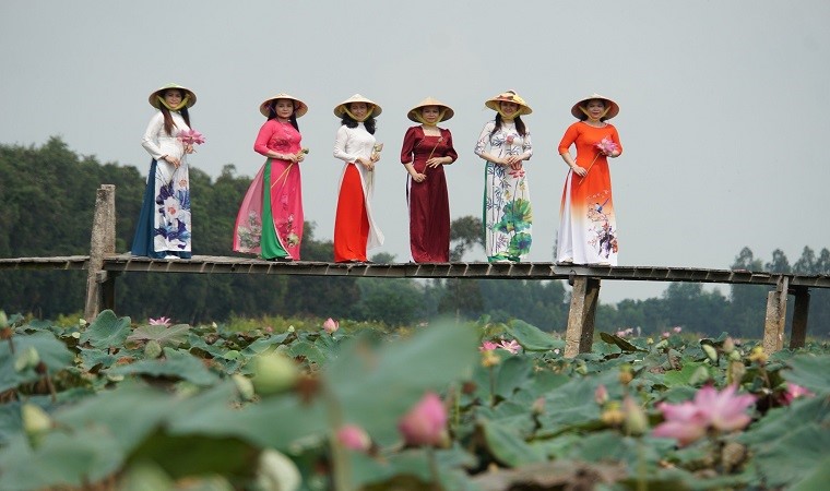 Những điểm ngắm sen tuyệt đẹp ở Đồng Tháp dịp lễ 30-4 và 1-5- Ảnh 2. Những điểm ngắm sen tuyệt đẹp ở Đồng Tháp dịp lễ 30-4 và 1-5- Ảnh 2.
