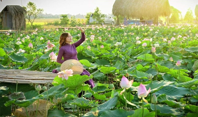 Những điểm ngắm sen tuyệt đẹp ở Đồng Tháp dịp lễ 30-4 và 1-5- Ảnh 6. Những điểm ngắm sen tuyệt đẹp ở Đồng Tháp dịp lễ 30-4 và 1-5- Ảnh 6.