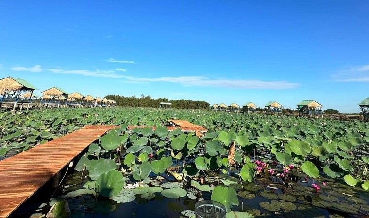 Những điểm ngắm sen tuyệt đẹp ở Đồng Tháp dịp lễ 30-4 và 1-5- Ảnh 17. Những điểm ngắm sen tuyệt đẹp ở Đồng Tháp dịp lễ 30-4 và 1-5- Ảnh 17.