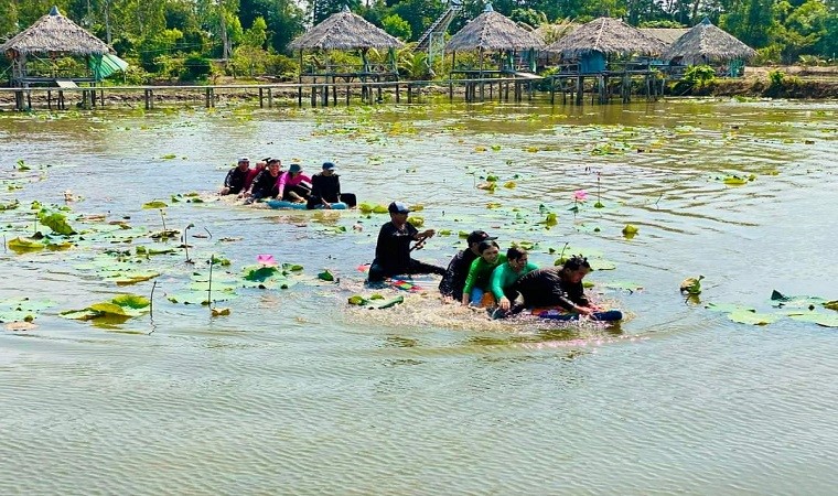 Những điểm ngắm sen tuyệt đẹp ở Đồng Tháp dịp lễ 30-4 và 1-5- Ảnh 25. Những điểm ngắm sen tuyệt đẹp ở Đồng Tháp dịp lễ 30-4 và 1-5- Ảnh 25.