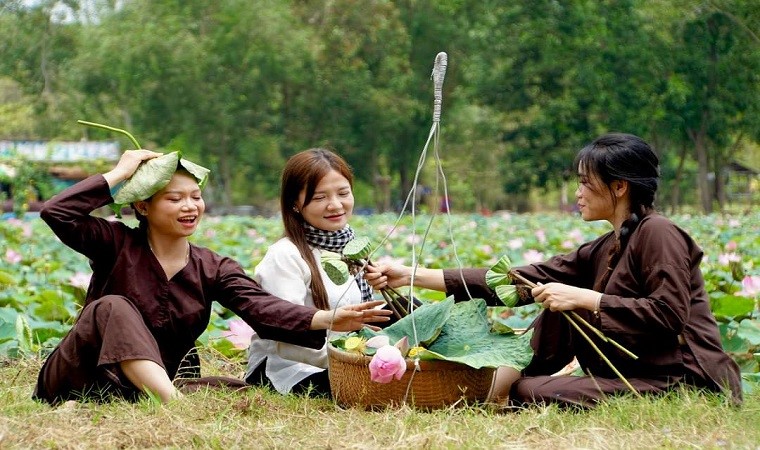 Những điểm ngắm sen tuyệt đẹp ở Đồng Tháp dịp lễ 30-4 và 1-5- Ảnh 34. Những điểm ngắm sen tuyệt đẹp ở Đồng Tháp dịp lễ 30-4 và 1-5- Ảnh 34.
