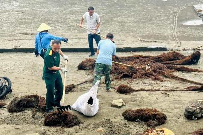 Hơn 900 tấn rác trên các bãi biển đã được Đồ Sơn thu gom trong những ngày qua. Ảnh: Xuân Hoa