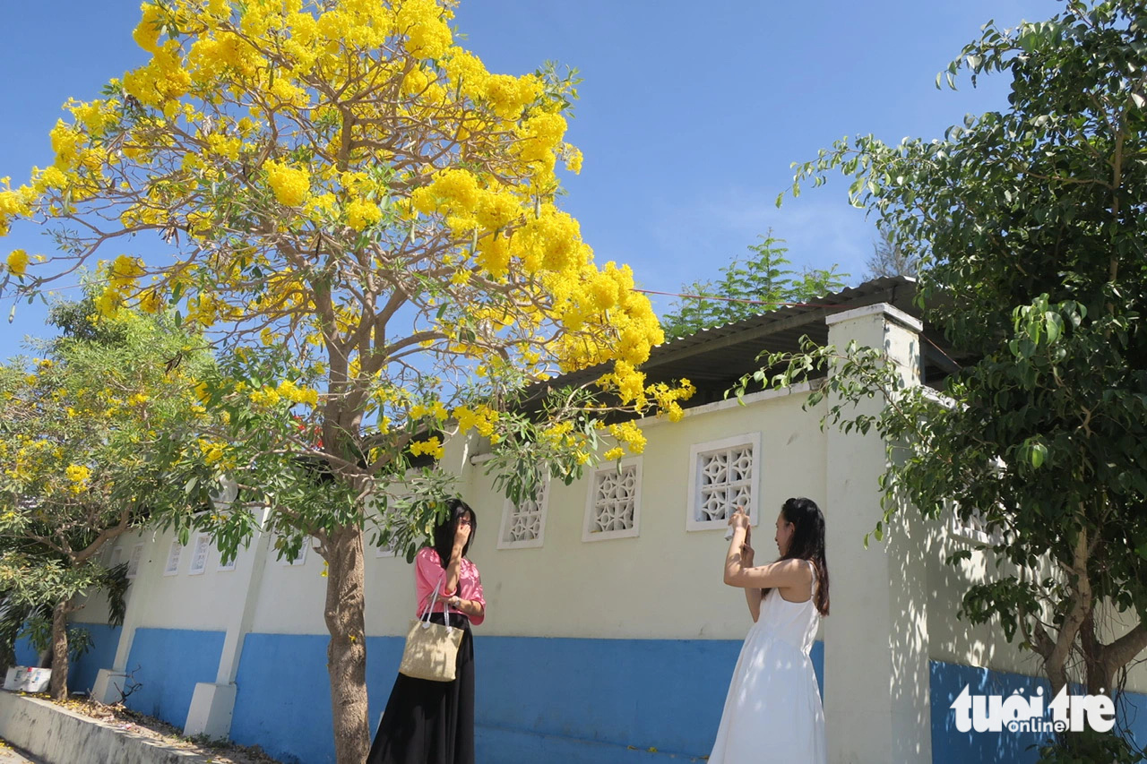 Về biển Ninh Vân thăm di tích tàu không số- Ảnh 3. Những sắc màu rực rỡ của một làng chài hút hồn du khách, nhất là các bạn trẻ ưa thích trải nghiệm những vùng đất đẹp của đất nước