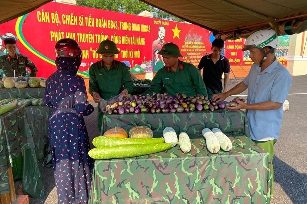 Bộ đội mang 1 tấn rau, củ tự trồng tặng người dân khó khăn - 2