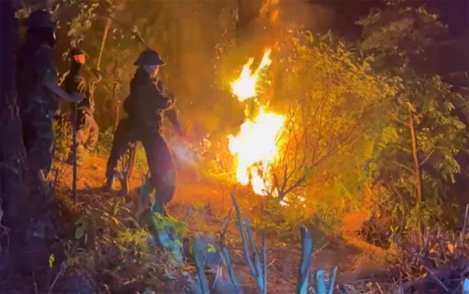 Nhiều lực lượng đang xuyên đêm dập lửa tại cánh rừng ở huyện Nam Đàn, khuya 30/4. Ảnh: Hùng Lê