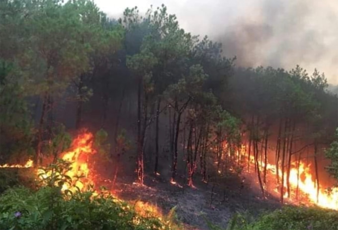 Khoảnh rừng bị cháy giáp ranh giữa huyện Thanh Chương và Nam Đàn, chiều 30/4. Ảnh: Hùng Lê