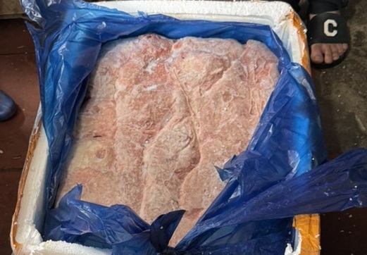 Bắt giữ hơn 2 tấn nầm lợn không rõ nguồn gốc- Ảnh 1. Nầm lợn đông lạnh bắt giữ tại chợ Tam Hiệp (H.Thanh Trì, Hà Nội) ngày 17.4