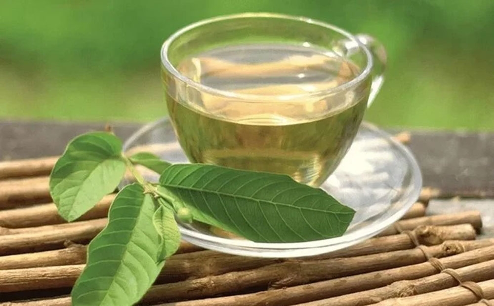 Bật mí công dụng chữa ‘bách bệnh’ từ loại lá rụng đầy vườn, sử dụng theo cách này rất tốt cho người bệnh tiểu đường - Ảnh 1. Bật mí công dụng chữa ‘bách bệnh’ từ loại lá rụng đầy vườn, sử dụng theo cách này rất tốt cho người bệnh tiểu đường - Ảnh 1.