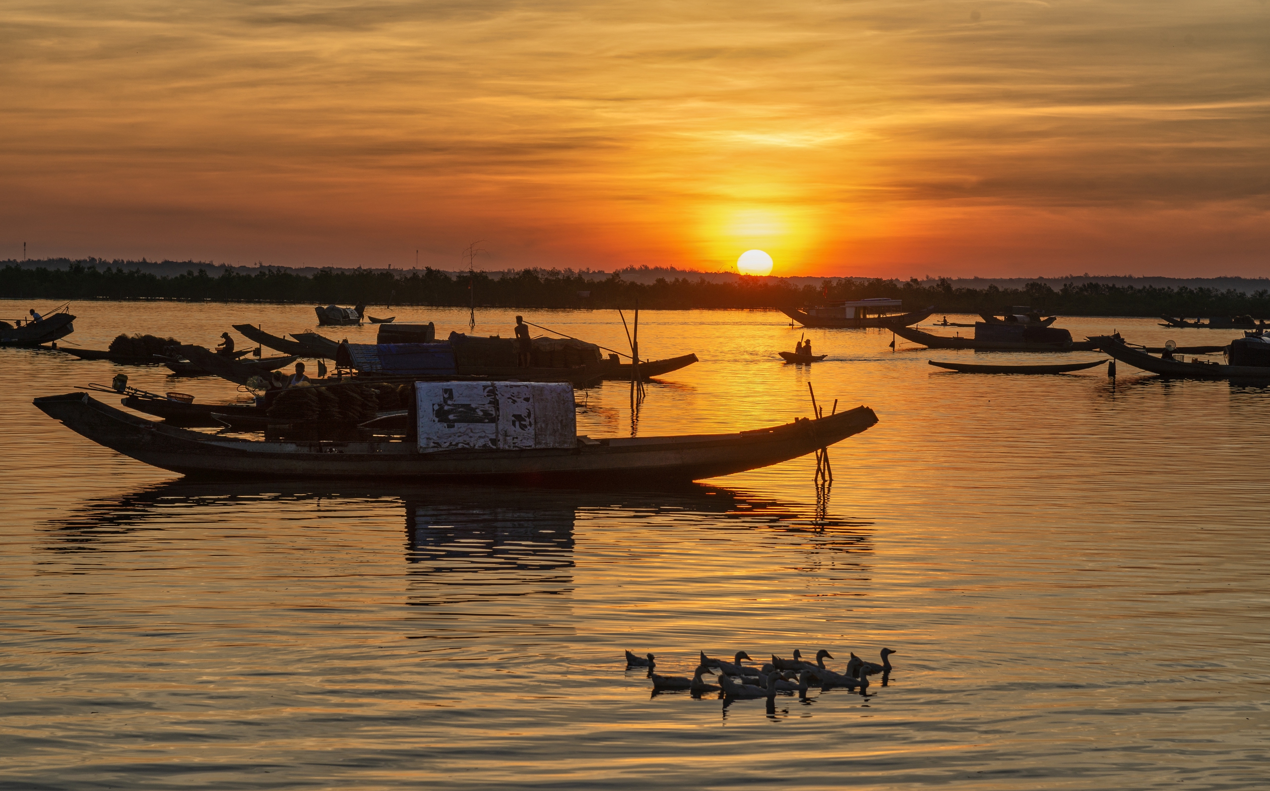 Bình minh trên phá Tam Giang sao mà đẹp thế!- Ảnh 1. Bình minh trên phá Tam Giang sao mà đẹp thế!- Ảnh 1.