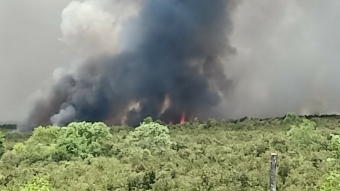 Hiện trường vụ cháy rừng tràm sản xuất ở huyện Giang Thành, tỉnh Kiên Giang. Ảnh: Phương Vũ