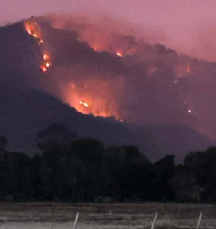 Hình ảnh đám cháy lớn, khói bốc cao trên núi Cô Tô, thuộc xã Núi Tô, H.Tri Tôn, tỉnh An Giang