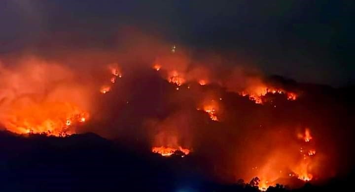 Đám cháy ở khu vực núi Cô Tô thuộc xã Núi Tô, H.Tri Tôn, tỉnh An Giang lan rộng. Địa hình đồi núi khiến việc chữa cháy gặp nhiều khó khăn