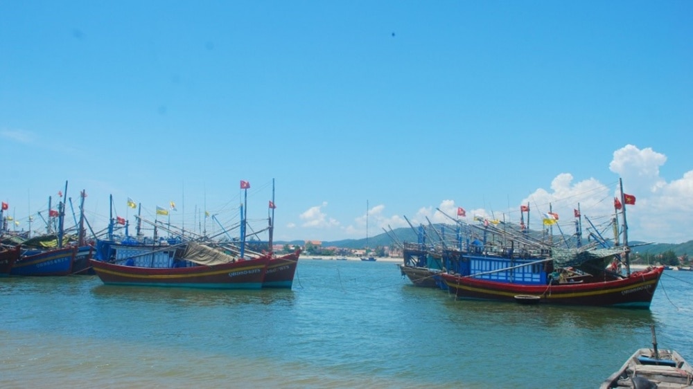 Bên cạnh xây dựng chính sách phát triển ngành thủy sản thì các địa phương phải tăng cường kiểm soát các hoạt động thủy sản, nhất là việc đánh bắt thủy sản