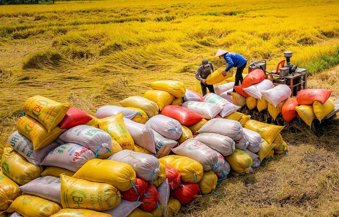Gạo là mặt hàng xuất khẩu quan trọng trong số các mặt hàng nông sản xuất khẩu của Việt Nam