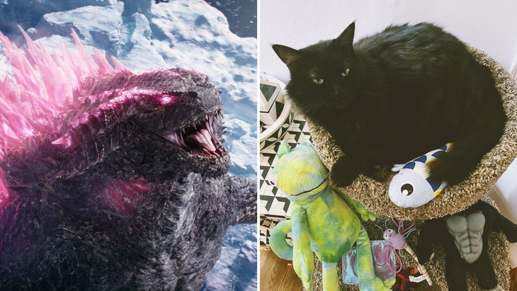Godzilla của Mỹ hay của Nhật cũng thực chất chỉ là một chú mèo- Ảnh 1. Godzilla (trái) và chú mèo Mischief nhà đạo diễn Adam Wingard (phim Godzilla x Kong: Đế chế mới) - Ảnh: Legendary/X