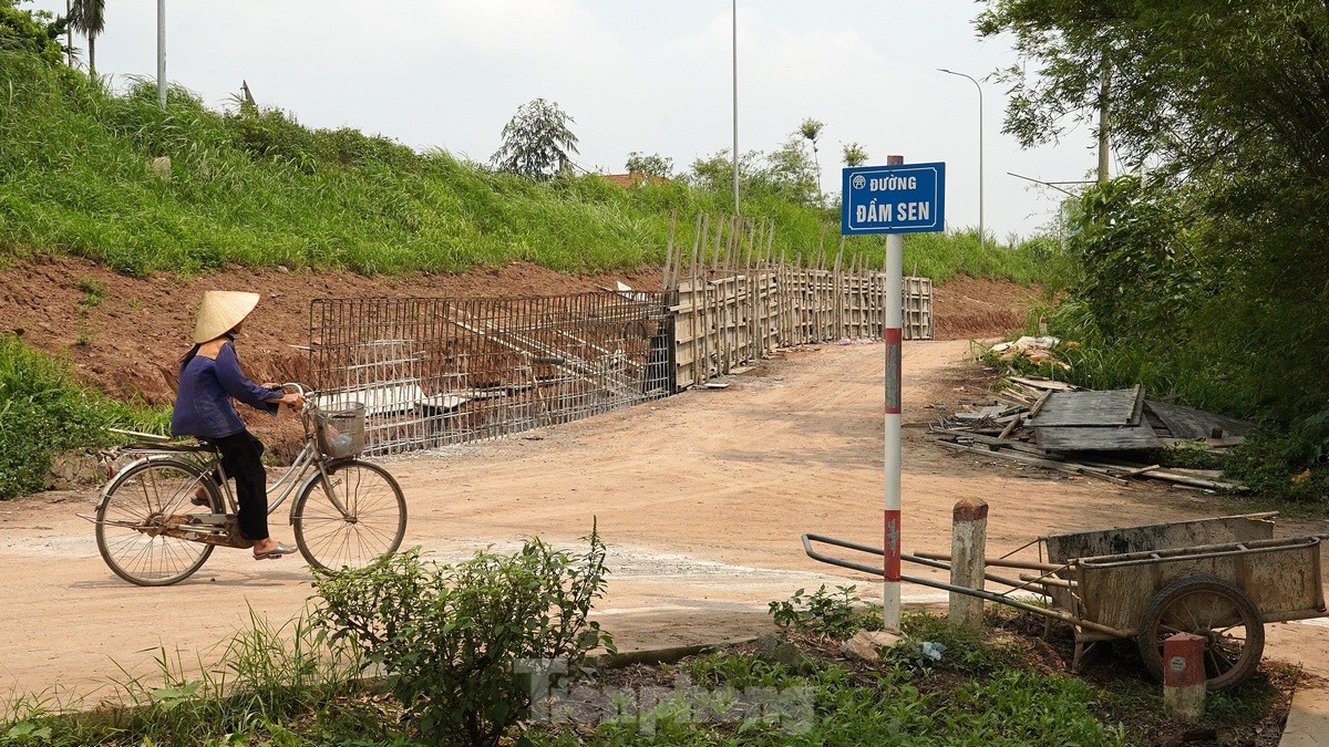 Hanoi spent nearly 400 billion VND to improve the Red River dyke through Phu Xuyen district, photo 1