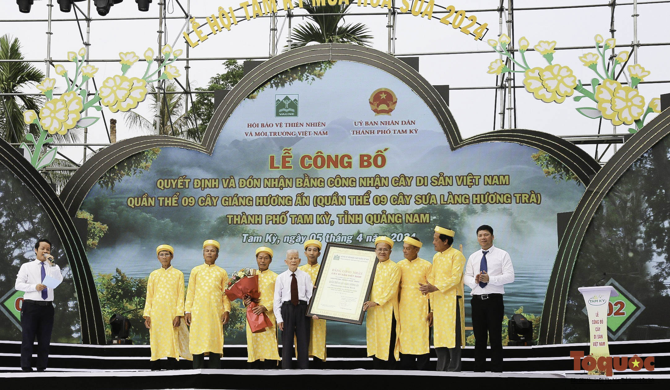Hình ảnh quần thể 9 cây giáng hương ấn trăm tuổi ở Quảng Nam vừa được công nhận Cây Di sản - Ảnh 1. Hình ảnh quần thể 9 cây giáng hương ấn trăm tuổi ở Quảng Nam vừa được công nhận Cây Di sản - Ảnh 1.