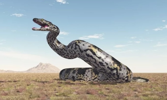 Vasuki Indicus có thể cạnh tranh danh hiệu rắn lớn nhất hành tinh với Titanoboa. Ảnh: iStock