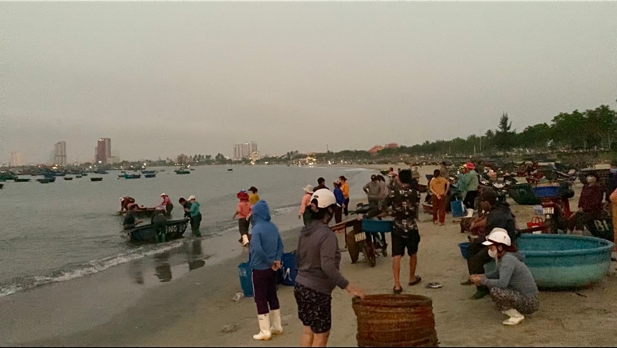 Khu chợ ven biển Đà Nẵng, chỉ bán độc nhất một loại hải sản- Ảnh 1.